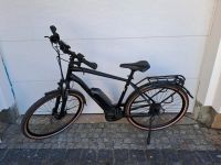 E-bike Pegasus Solero E8 Herrenfahrrad Brandenburg - Treuenbrietzen Vorschau