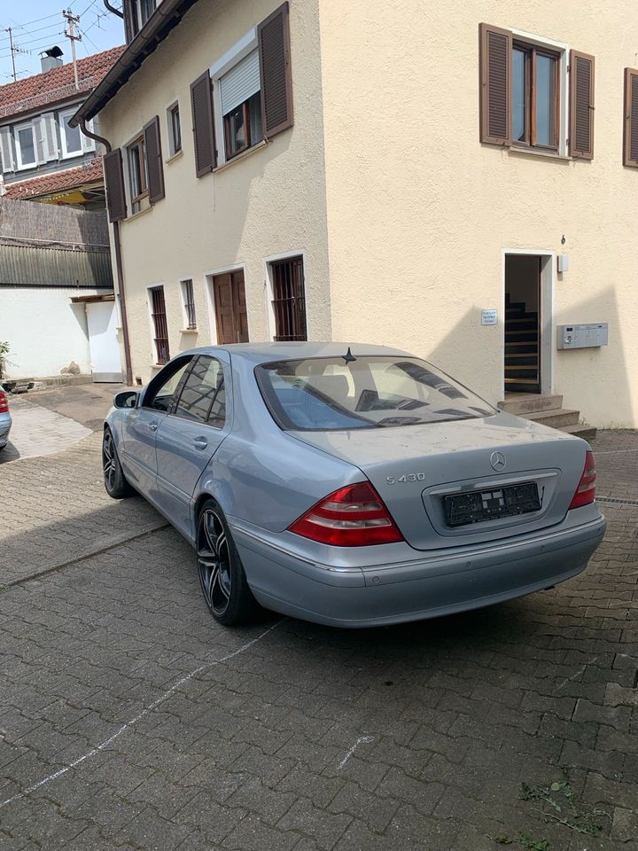 Mercedes Benz S 430 V8 in Schorndorf