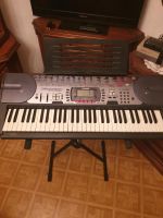 Keyboard Casio LK-60 Brandenburg - Caputh Vorschau