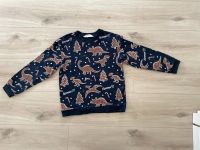 H&M Sweatshirt Pullover Dino blau Weihnachten. 122/128 Niedersachsen - Delmenhorst Vorschau