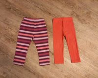 2 Leggings von Babyclub und Impidimpi in Größe 86/92 Hessen - Schlüchtern Vorschau