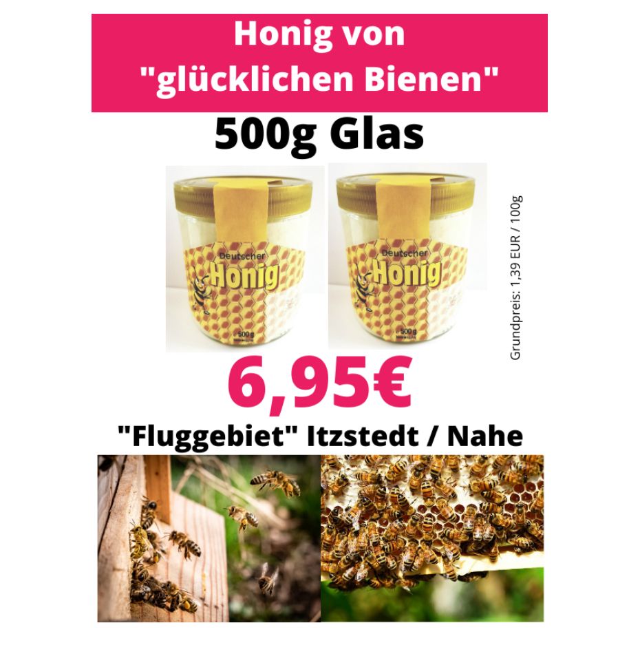 Honig 500g Glas Ernte Frühjahrstracht hoher Rapshonig Anteil in Henstedt-Ulzburg