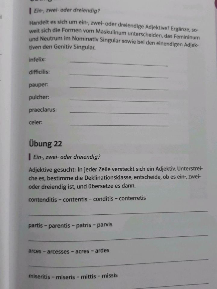 Lateinübungen 1.-4. Lernjahr in Stuttgart