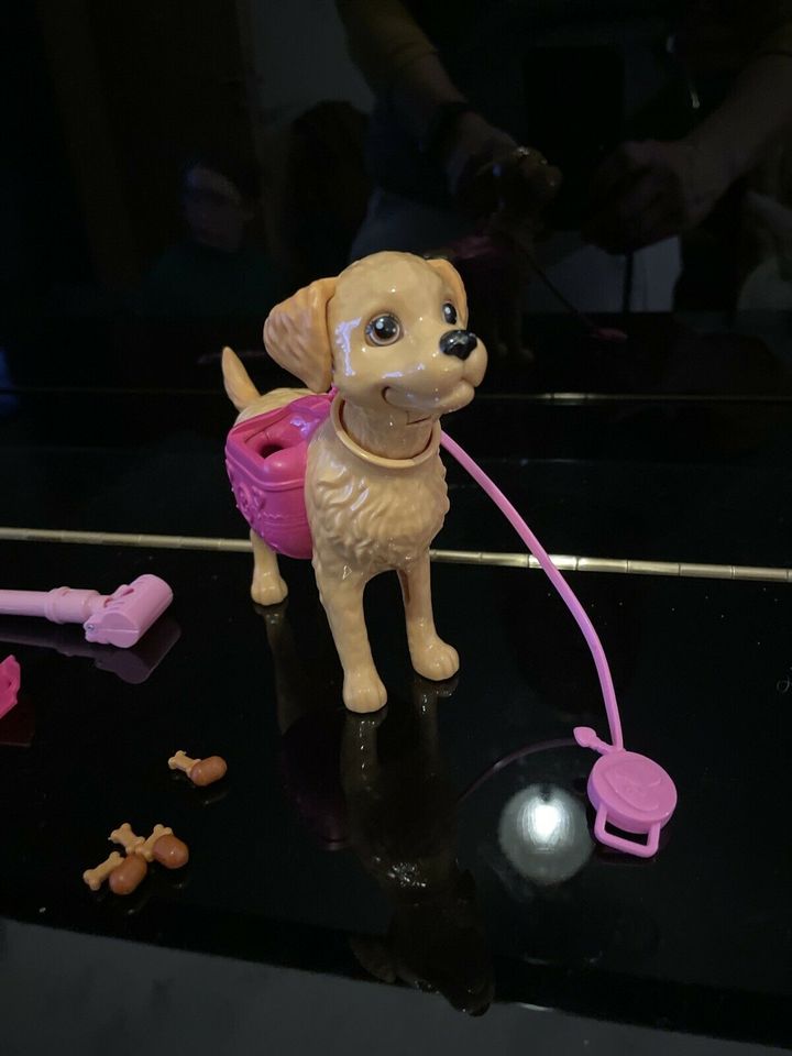 Barbie Hund / Spazierhund mit Leine/ Knochen in Düsseldorf
