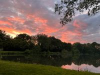 ❌FINDERLOHN❌ Suchen See / Teich Angelteich zum Pachten / Mieten Niedersachsen - Stadland Vorschau