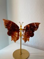 Feuerquarz Schmetterling Flügel Fire Quartz Wings Kiel - Gaarden Vorschau