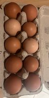 Eier von freilaufenden Hühnern Rheinland-Pfalz - Kruft Vorschau