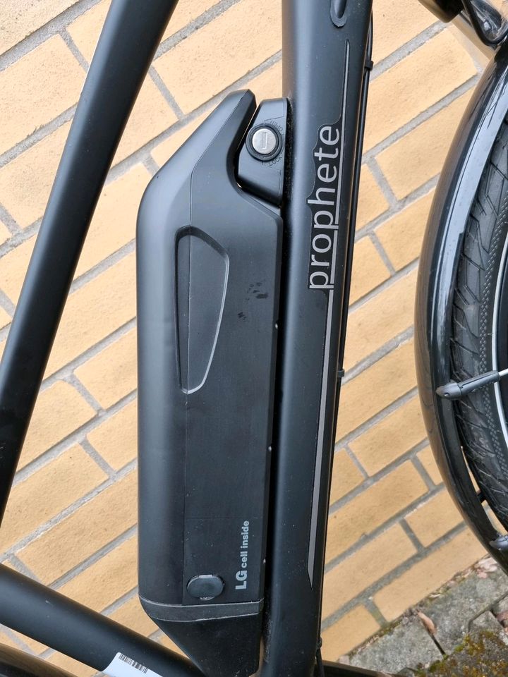 NEU NEE GEFAHREN Prophete Herren Alu-Fahrrad E-Bike ATB 28Zoll in Bad Bevensen