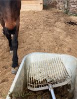 Reiner Pferdemist zu verschenken- ohne Einstreu ! Nordrhein-Westfalen - Zülpich Vorschau