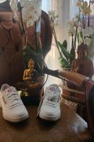 Neue Reebok Schuhe original Verpackung Aachen - Aachen-Soers Vorschau