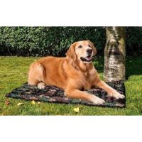 NEU Hundedecke Hundebett Outdoor mit Tragetasche Nordvorpommern - Landkreis - Barth Vorschau