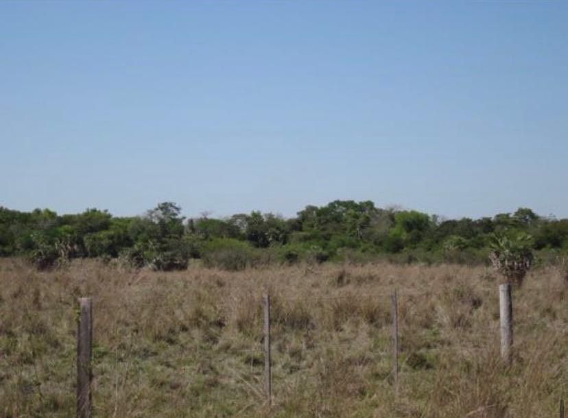 458 ha Grundstück mit 3 Häuser und vieles mehr in Paraguari in Zossen-Zesch am See