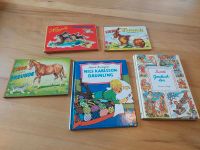 Sammlung alter Kinder Bücher Astrid Lindgren Hessen - Hünfelden Vorschau