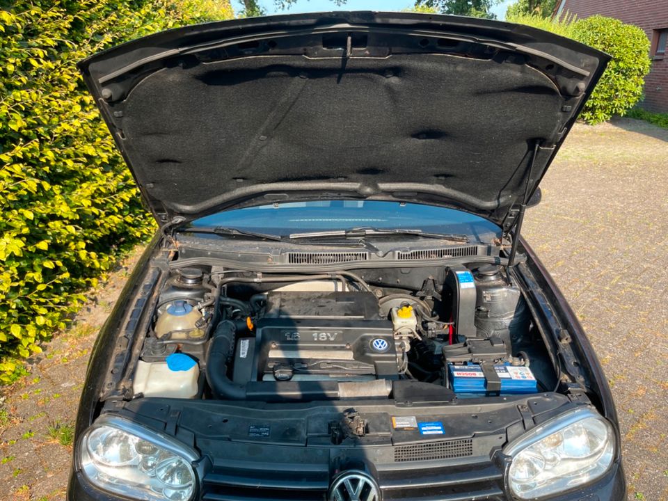 Golf 4 IV Schlachtfest Teilelager Schlachtauto -bereits ausgebaut in Edewecht - Friedrichsfehn