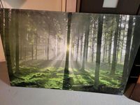 Wandbild Natur Wald grün 120x80 Sachsen-Anhalt - Peißen Vorschau