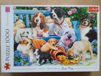 Puzzle ab 500 Teile | Schmidt, Ravensburger, Trefl, Clemantoni... Bayern - Schwarzenfeld Vorschau