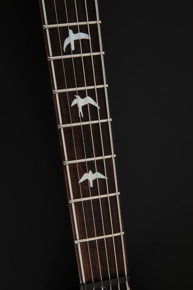 2015 PRS Custom 24 30th Anniversary in Paderborn