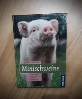 Buch Minischweine Striowsky Schleswig-Holstein - Munkbrarup Vorschau