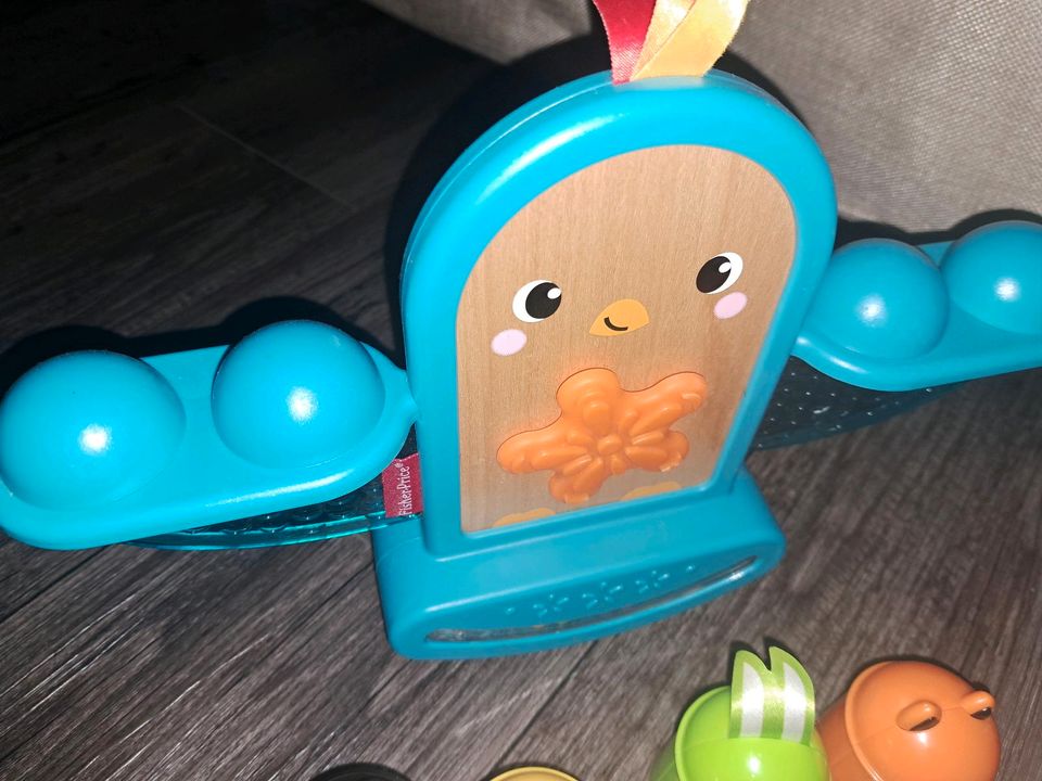 Fisher Price Schaukel & Stapel Vögelchen in Winsen (Luhe)