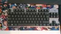 LOGITECH K835 mechanische Tastatur - Aluminium - ohne Numpad Rheinland-Pfalz - Saarburg Vorschau