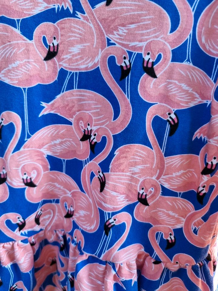 Langarmkleid ARUBA Flamingos in Ginsheim-Gustavsburg