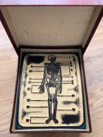 Anatomischer Lehrstempel das Skelett Heinz Vogel Niedersachsen - Lüneburg Vorschau