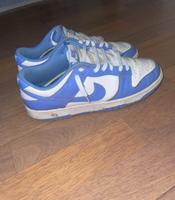 Nike Dunk low Bayern - Bayreuth Vorschau