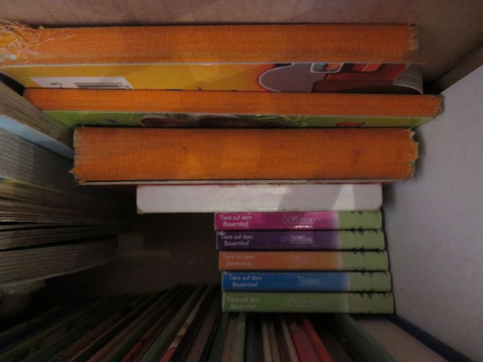 diverse Kinderbücher (ca.150 Stück, bunt gemischt) - auch einzeln in Neubrandenburg