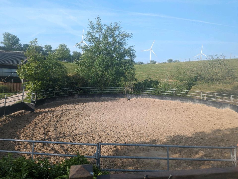 Paddock Box in Issum auf Reitanlage zu vergeben in Issum