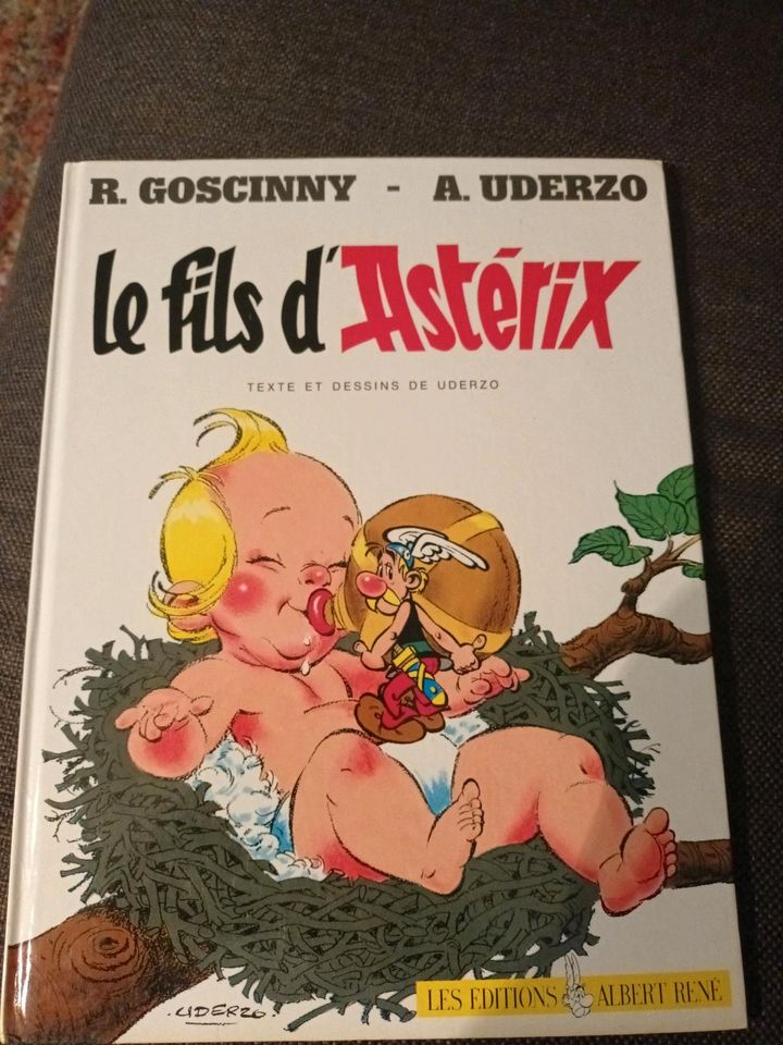 5€ Le fils Asterix französische Sprache Frankreich Buch in Remagen