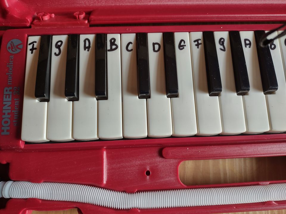 Hohner Melodica Student 32 Rot in Dollnstein