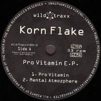 ⭐️1995 Acid Hard Breaks⭐️Wild Traxx⭐️Korn Flake - Pro Vitamin⭐️ Bayern - Graben (Lechfeld) Vorschau