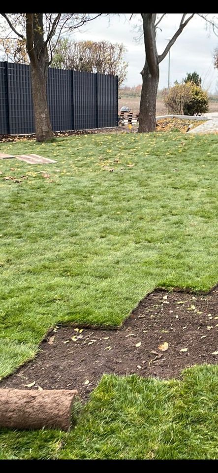 Garten und Landschaftsbau Pflaster,Rollrasen,Zaun in Frankenthal (Pfalz)