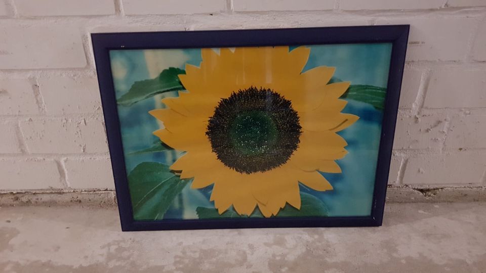 Bilderrahmen mit Sonnenblumen Bild in Kassel