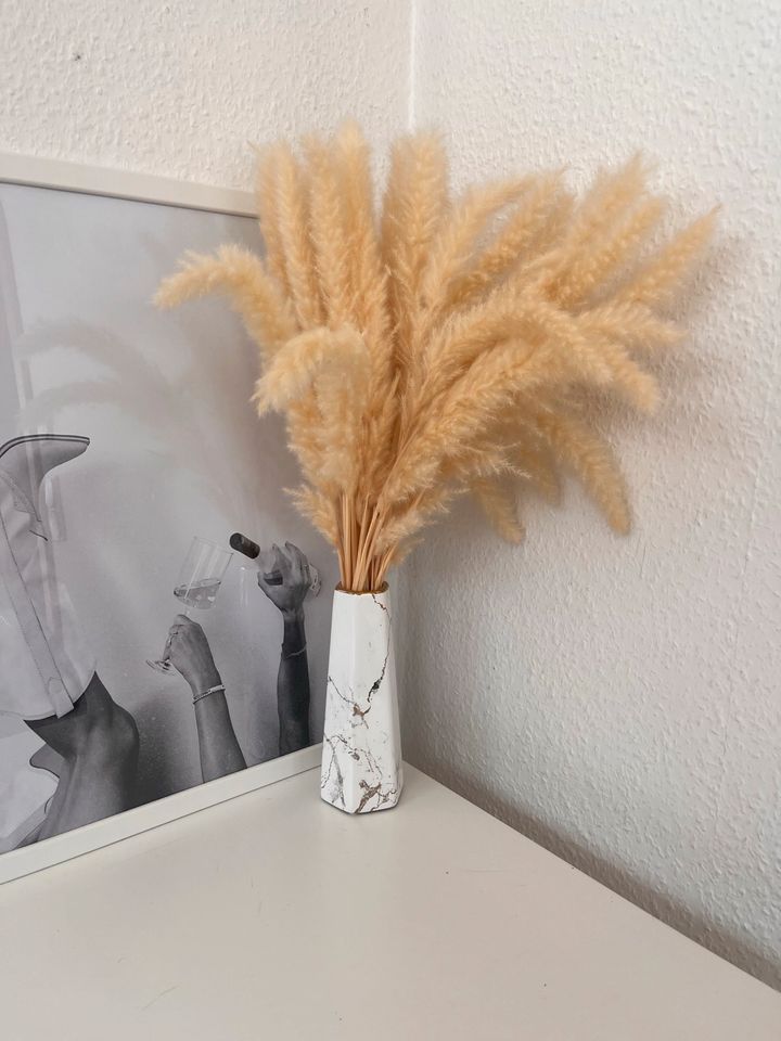 Pampas Gras + Vase in Berlin