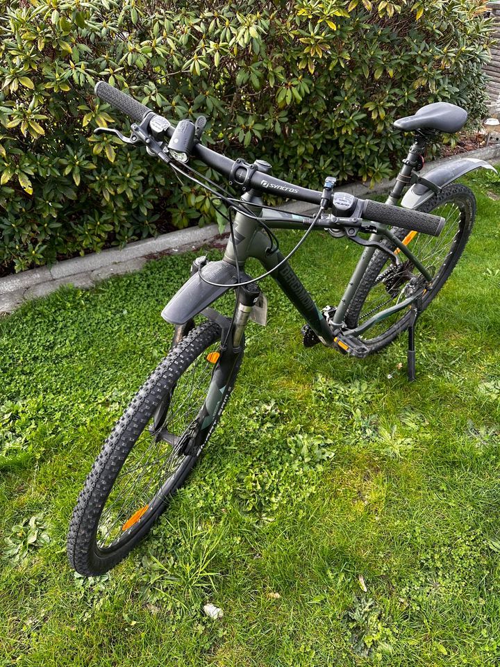 Fahrrad BERGAMONT Revox 5 grün RG XL9 29" in Wachau