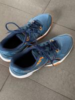 Asics Hallenschuhe Gr. 8.5 Hessen - Rodgau Vorschau