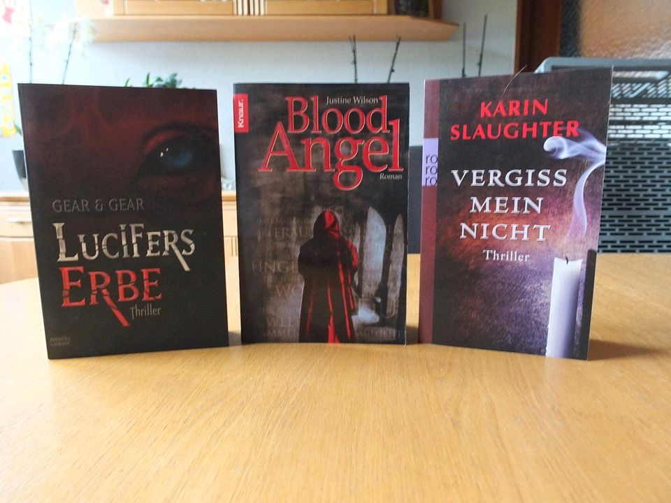 Verkaufe verschiedene Bücher Krimi/Thriller in Seibersbach