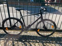 Trekkingfahrrad 28 Zoll Green‘s Chester Herren Brandenburg - Falkensee Vorschau