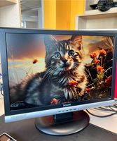 Novita L22BW Top Monitor Bildschirm 22 Zoll Bayern - Regensburg Vorschau