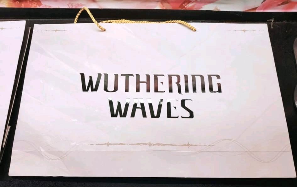 Wuthering Waves, Anime in Berlin