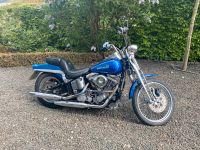 Harley Davidson Evolution Sportster Springer Softail Rheinland-Pfalz - Trier Vorschau