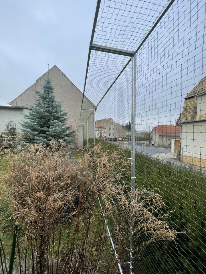 KATZENNETZ MONTAGE BALKON FENSTER I KATZENNETZE WOLFRAM I Leipzig in Leipzig