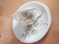 Tasse Teetasse + Kuchenteller Hutschenreuther Juwel Birkenzweig Bayern - Windischeschenbach Vorschau