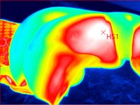 Sattelthermographie Sachsen-Anhalt - Weißenfels Vorschau