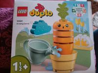 Lego Duplo Wachsende Karotte - 10971 Nordrhein-Westfalen - Emsdetten Vorschau