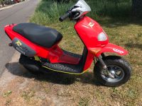 Roller Motorroller Aprilia 49cm3 Leipzig - Engelsdorf Vorschau