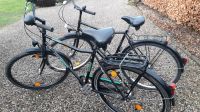 Herrenrad, Citybike/Kalkhoff, 28 Zoll Schleswig-Holstein - Steinbergkirche Vorschau