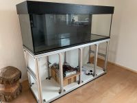 Aquarium Terrarium 150x50x50 mit Alugestell undZubehör OHNE PUMPE Brandenburg - Oberkrämer Vorschau