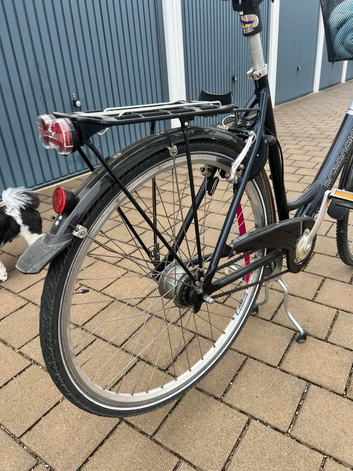 Fahrrad Damen tiefer Einstieg in Kaufbeuren